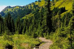 Mount Baker–Snoqualmie National Forest