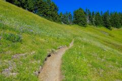 Mount Baker–Snoqualmie National Forest