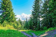 Mount Baker–Snoqualmie National Forest