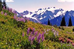 Mount-Olympus-4