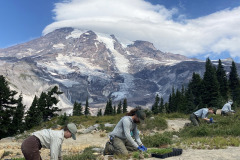 Mount Rainier National Park
