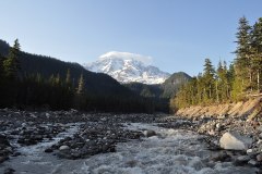Nisqually River