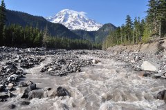Nisqually River