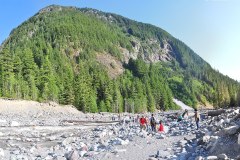 Nisqually River