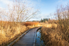 North Creek Park and Water Retention Facility