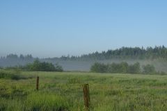 North Creek Park and Water Retention Facility