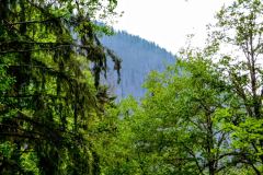 Olympic Mountains