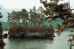 Olympic National Forest