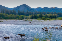 Olympic-National-Park-10