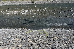 Olympic-National-Park-6