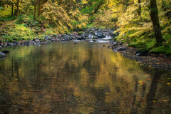 Olympic-National-Park-7