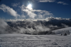 Olympic-National-Park-9
