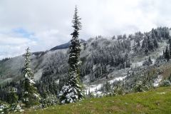 Olympic Peninsula