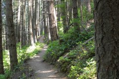 Pacific Northwest Trail