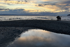 Picnic Point Park