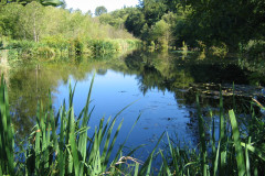 Portage Creek Wildlife Area