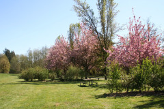 River Meadows Park