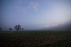 River Meadows Park