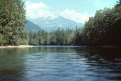 Skagit River