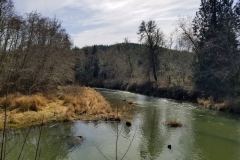 Skookumchuck River