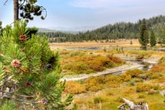 Snake-River-4