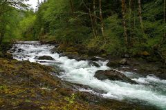 Sol-Duc-River-4