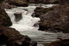 Sol-Duc-River-5