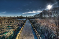 Spencer Island