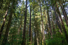 Squire Creek Park & Campground