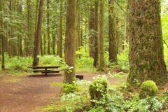Squire Creek Park & Campground