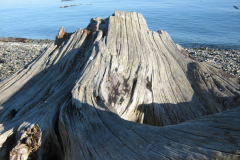 Strait of Juan de Fuca