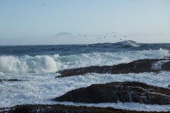 Tatoosh-Island-1
