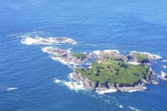 Tatoosh-Island-5