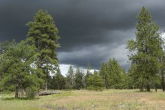 Turnbull National Wildlife Refuge