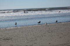 Twin-Harbors-State-Park-1