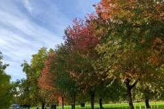 Twin Rivers Park