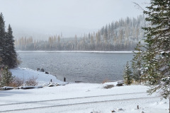 Umatilla-National-Forest-1