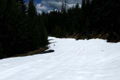 Umatilla-National-Forest-6