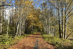 Whitehorse Regional Trail