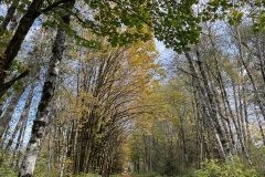 Whitehorse Regional Trail